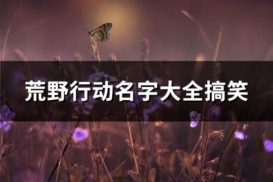 荒野行动名字大全搞笑(140个)