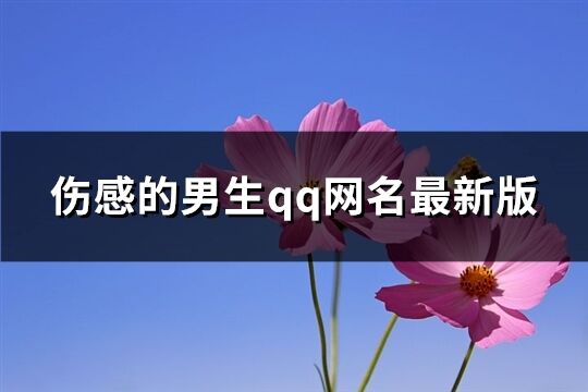 伤感的男生qq网名最新版(共70个)