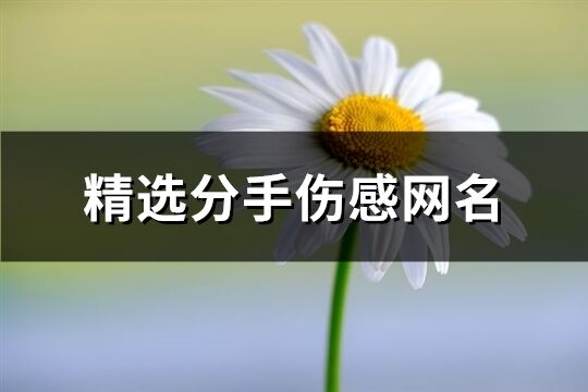 精选分手伤感网名(共463个)