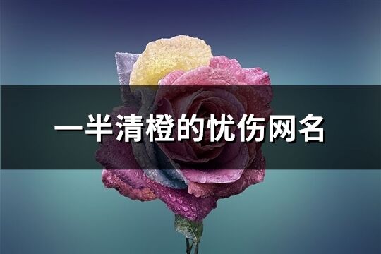 一半清橙的忧伤网名(共471个)