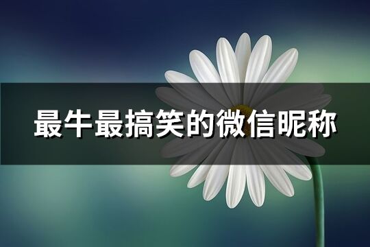 最牛最搞笑的微信昵称(精选92个)