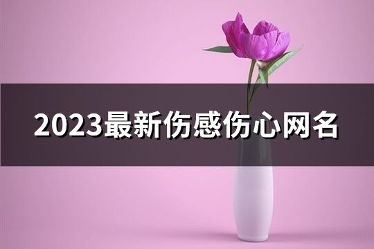 2023最新伤感伤心网名(共664个)