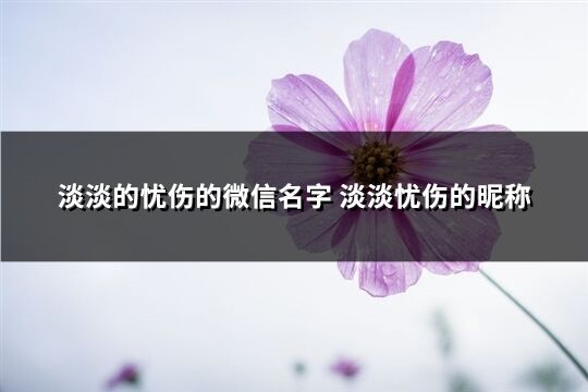 淡淡的忧伤的微信名字