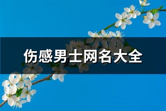 伤感男士网名大全(共728个)