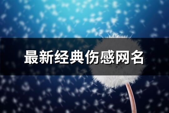 最新经典伤感网名(共632个)