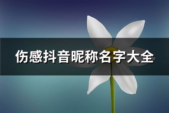 伤感抖音昵称名字大全(共182个)