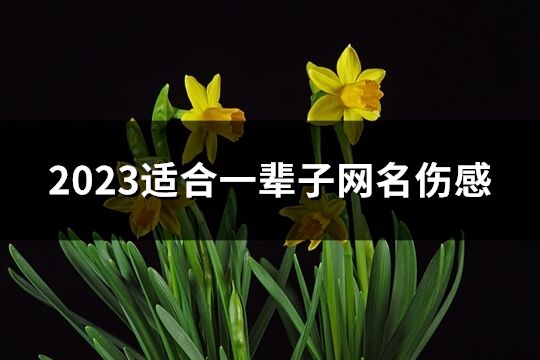 2023适合一辈子网名伤感(精选308个)