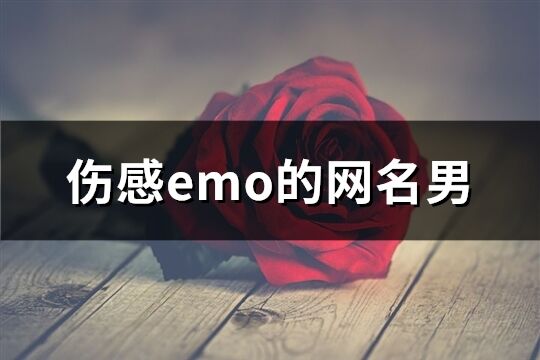 伤感emo的网名男(精选307个)