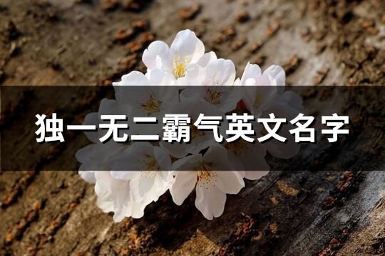 独一无二霸气英文名字(精选181个)