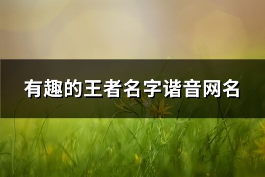 有趣的王者名字谐音网名(共110个)