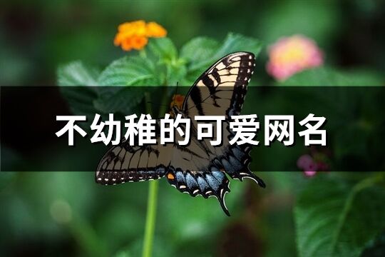 不幼稚的可爱网名(共83个)