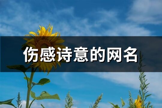 伤感诗意的网名(共261个)