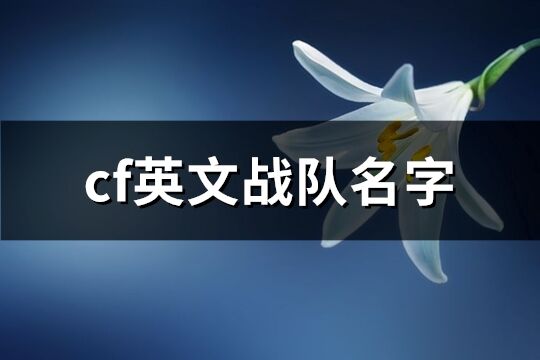 cf英文战队名字(128个)