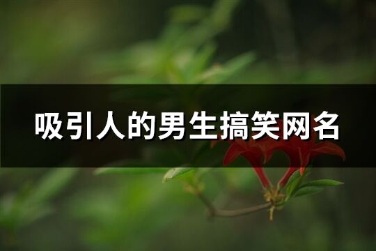 吸引人的男生搞笑网名(共72个)