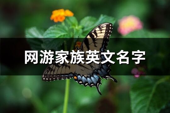 网游家族英文名字(共69个)