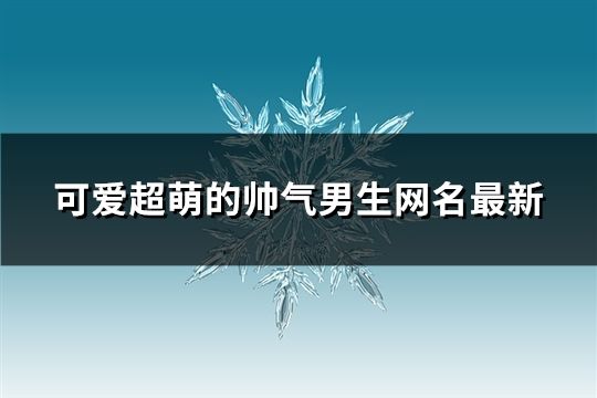 可爱超萌的帅气男生网名最新(共172个)