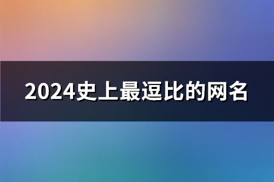 2024史上最逗比的网名(共254个)