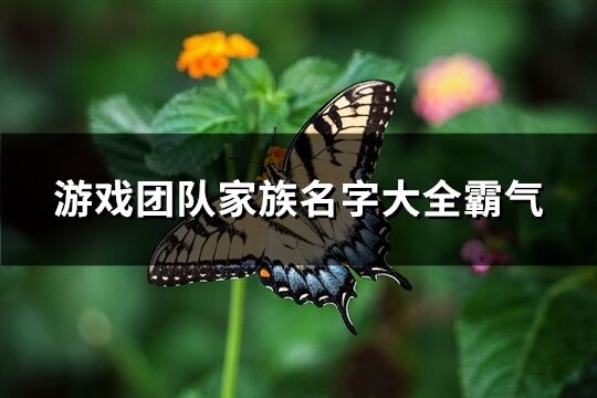 游戏团队家族名字大全霸气(638个)