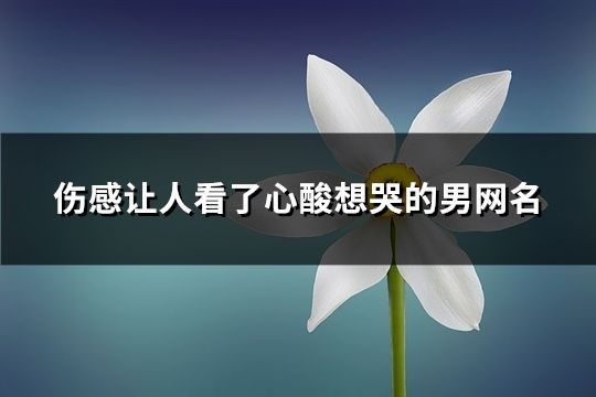 伤感让人看了心酸想哭的男网名(共111个)