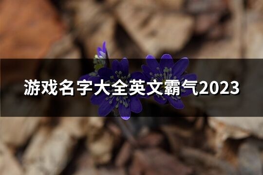 游戏名字大全英文霸气2023(66个)