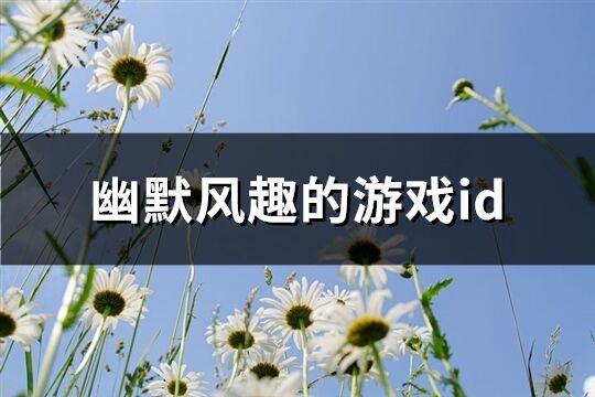 幽默风趣的游戏id(172个)