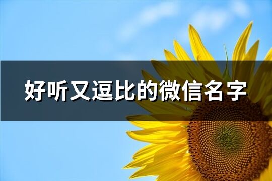 好听又逗比的微信名字(共262个)