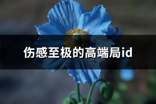 伤感至极的高端局id(共71个)