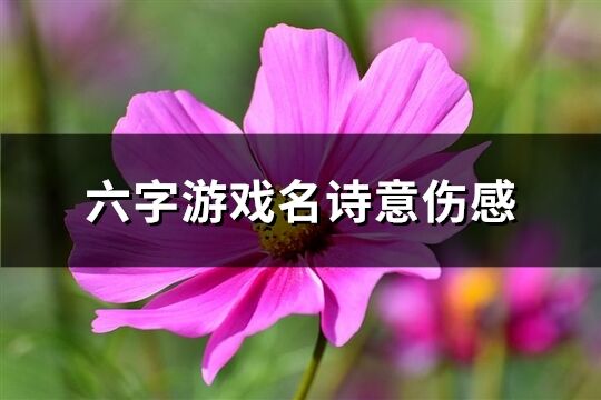 六字游戏名诗意伤感(210个)