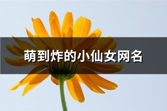 萌到炸的小仙女网名(共213个)