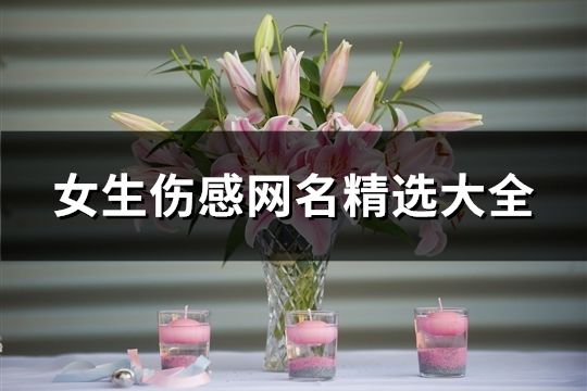 女生伤感网名精选大全(126个)