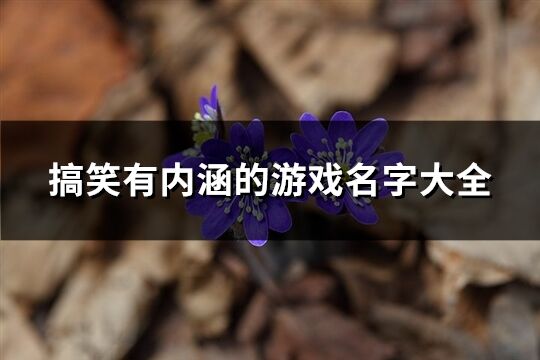 搞笑有内涵的游戏名字大全(精选451个)