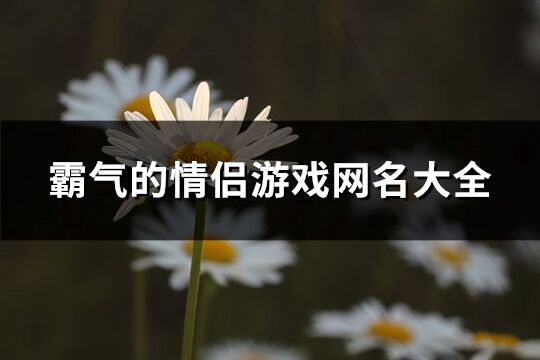 霸气的情侣游戏网名大全(361个)