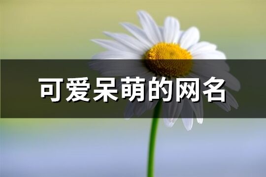 可爱呆萌的网名(427个)