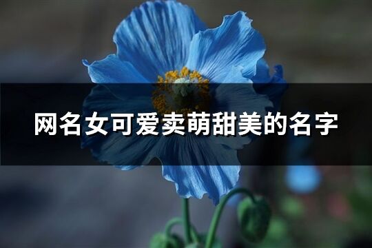 网名女可爱卖萌甜美的名字(共292个)