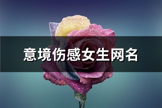 意境伤感女生网名(精选352个)