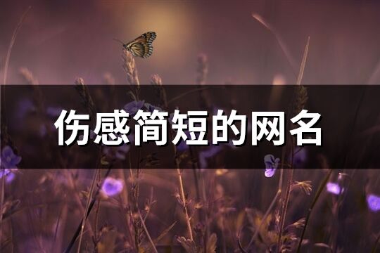 伤感简短的网名(精选210个)