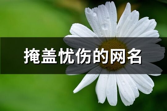 掩盖忧伤的网名(103个)