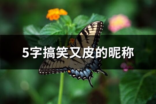 5字搞笑又皮的昵称(373个)