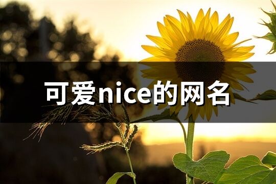 可爱nice的网名(精选85个)