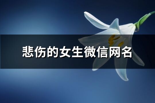 悲伤的女生微信网名(精选373个)