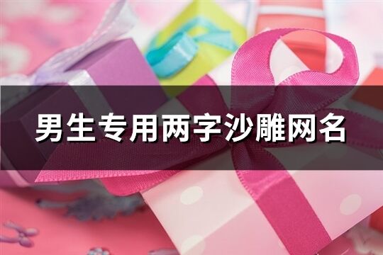 男生专用两字沙雕网名(243个)