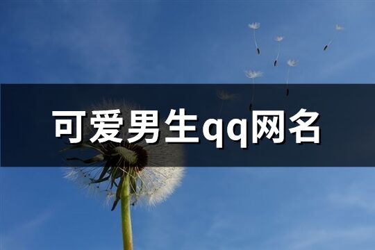 可爱男生qq网名(共225个)