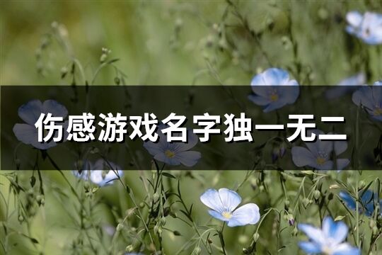 伤感游戏名字独一无二(519个)