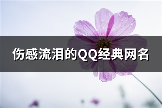 伤感流泪的QQ经典网名(共132个)