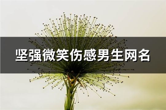 坚强微笑伤感男生网名(精选723个)