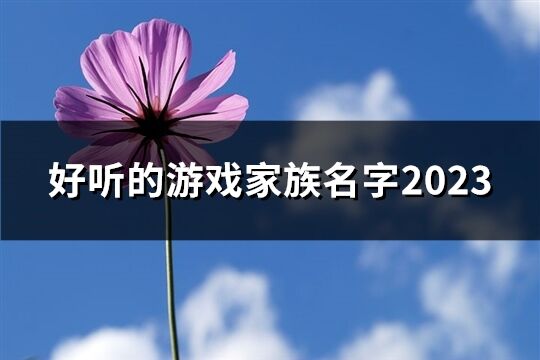 好听的游戏家族名字2023(精选33个)