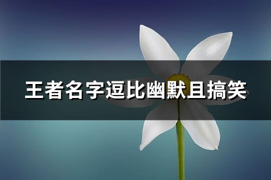 王者名字逗比幽默且搞笑(共55个)