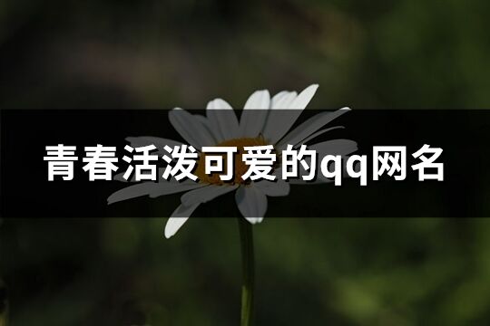 青春活泼可爱的qq网名(共271个)