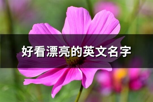 好看漂亮的英文名字(精选81个)