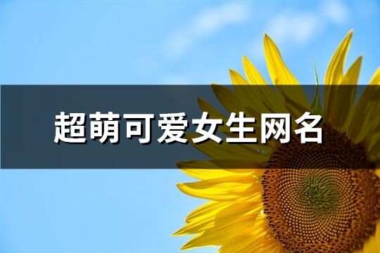 超萌可爱女生网名(共108个)